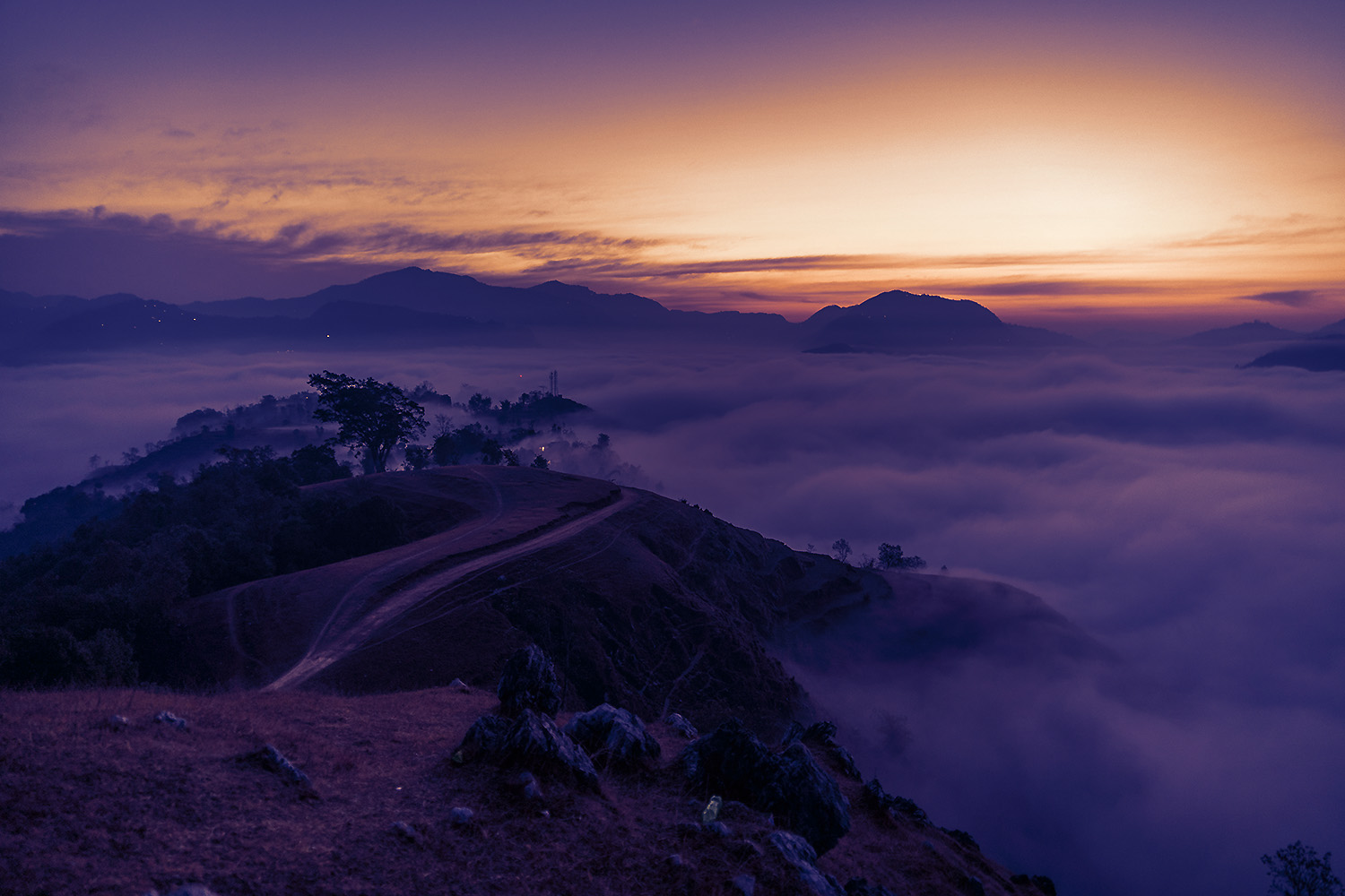 LANDSCAPE