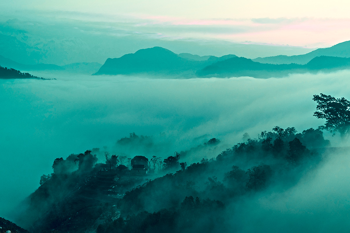 LANDSCAPE
